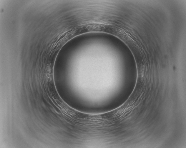 X0000059220964200510141008