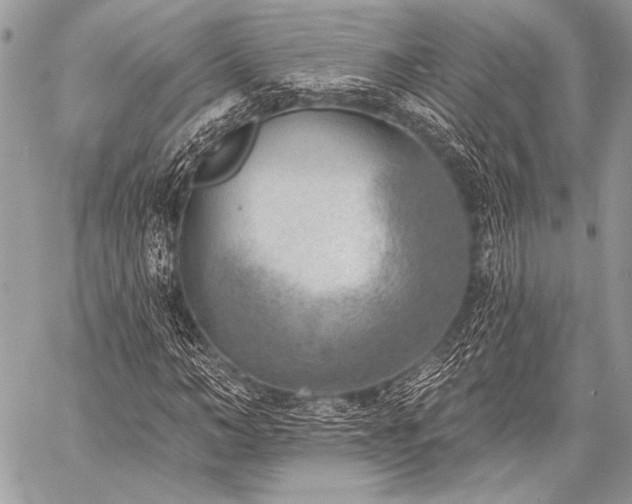 X0000059220966200510141008