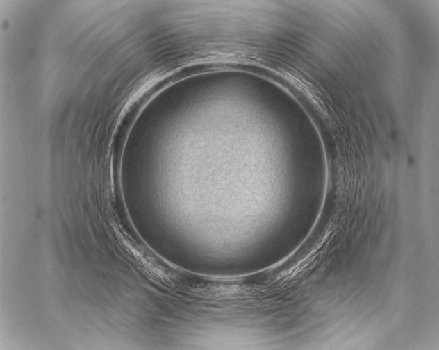 X0000059220982200510141008