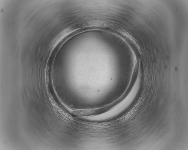 X0000059220983200510141008
