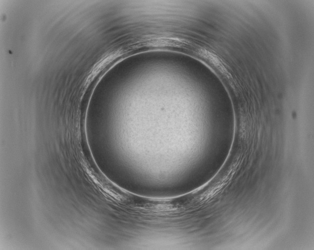 X0000059220986200510141008