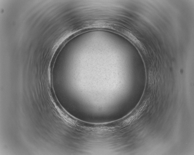 X0000059220988200510141008