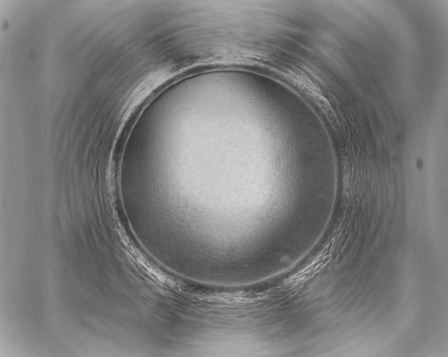 X0000059220990200510141008