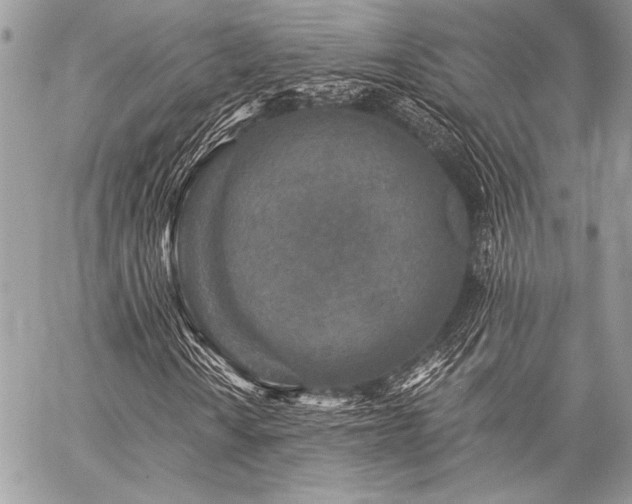 X0000059221010200510141007