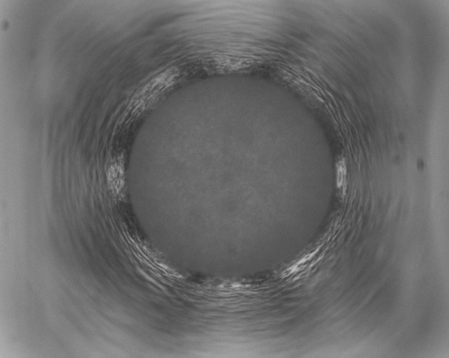 X0000059221011200510141007