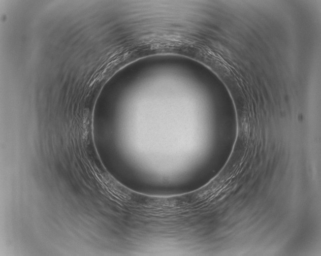 X0000059221012200510141007
