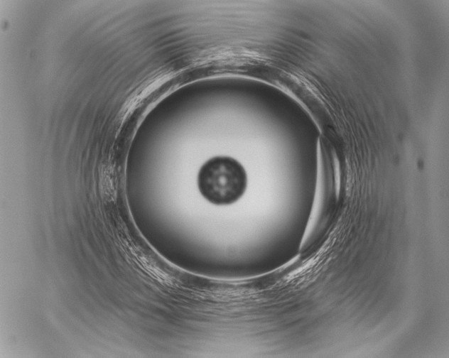 X0000059221018200510141007