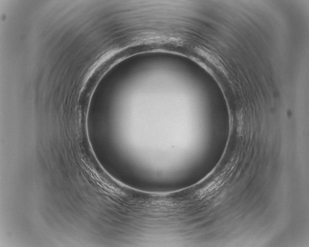 X0000059221021200510141007