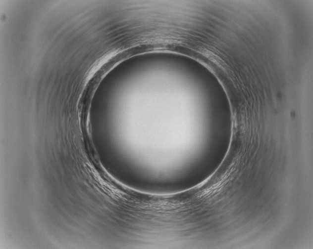 X0000059221022200510141007