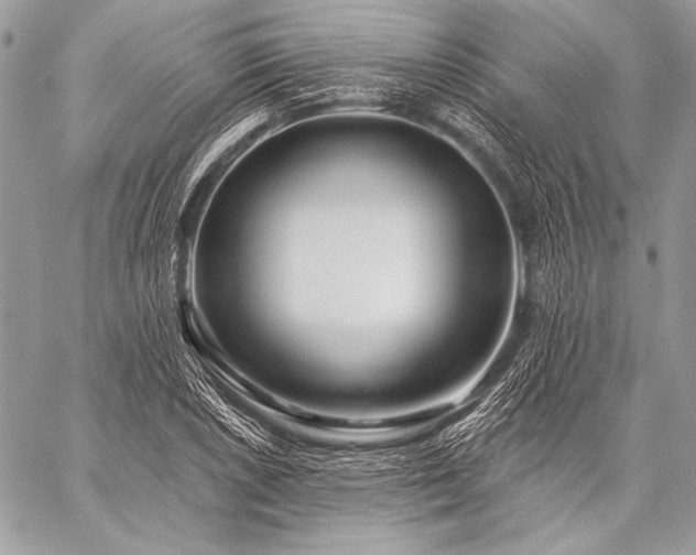 X0000059221026200510141007