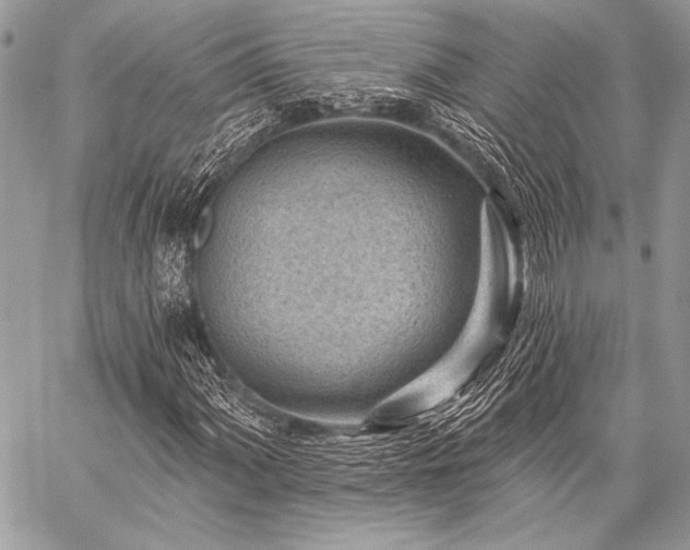 X0000059221060200510141007