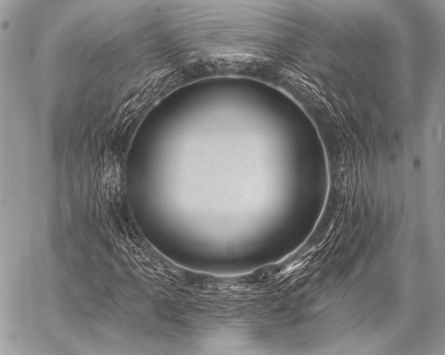 X0000059221061200510141007