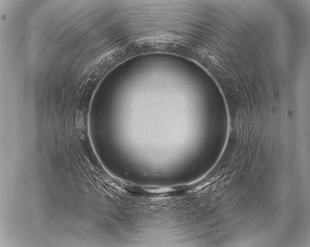 X0000059221062200510141007