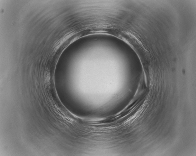 X0000059221065200510141006