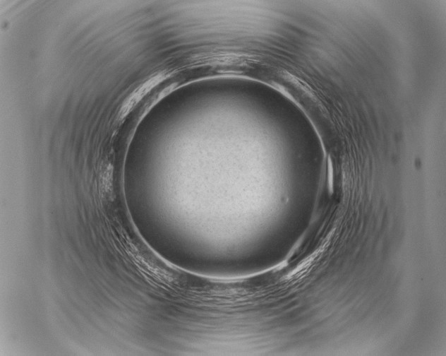 X0000059221066200510141006