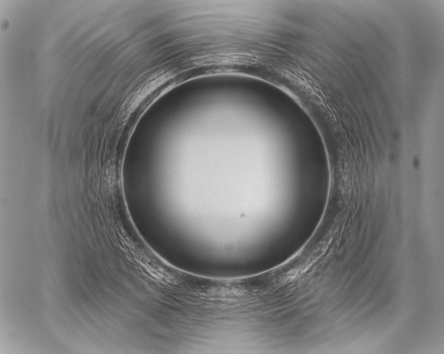 X0000059221073200510141006
