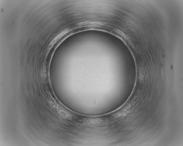 X0000059221074200510141006
