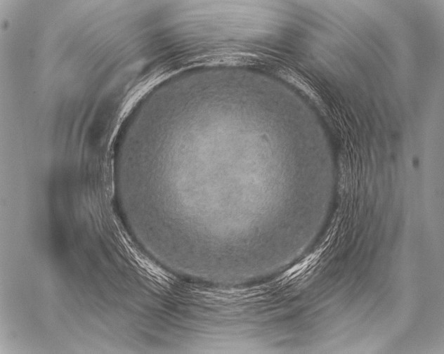 X0000059221075200510141006