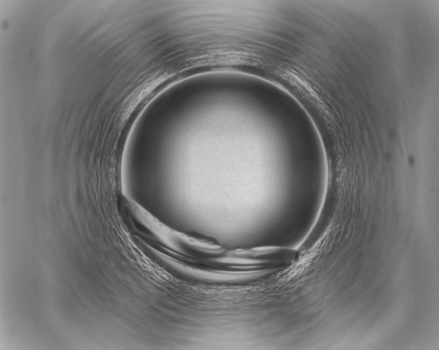 X0000059221081200510141006