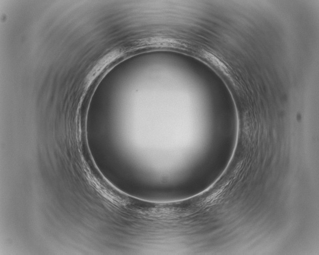 X0000059221082200510141006