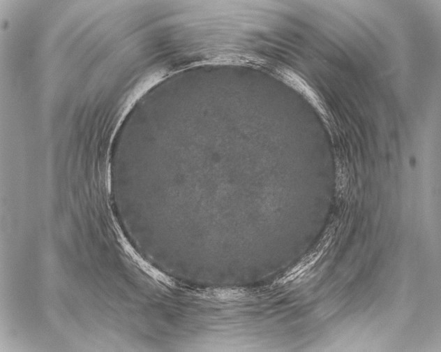 X0000059221095200510141006
