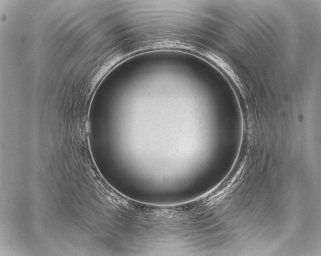X0000059221097200510141006