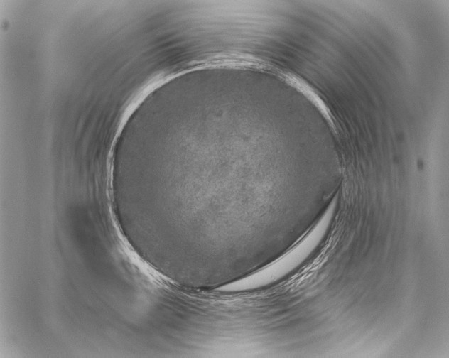 X0000059221099200510141006