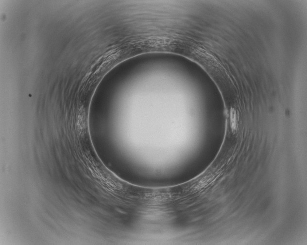 X0000059221107200510141005
