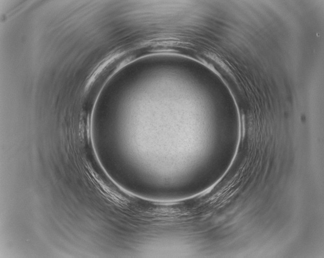 X0000059221115200510141005