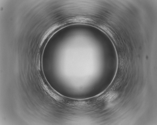 X0000059221131200510141005