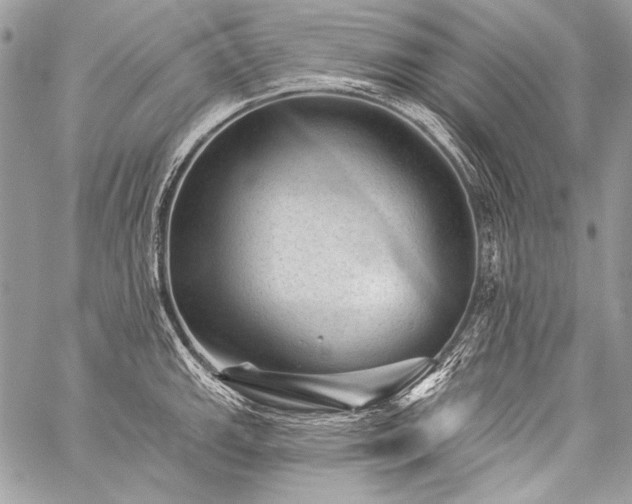 X0000059221143200510141006