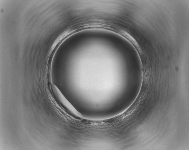 X0000059221146200510141006
