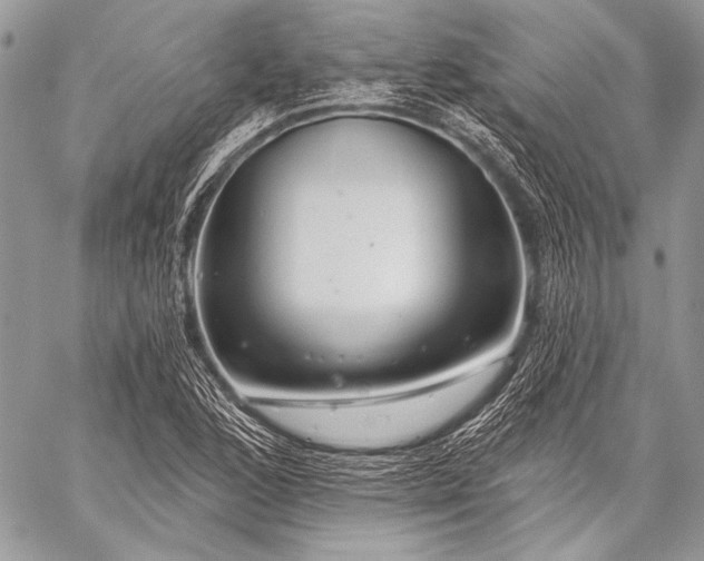 X0000059221168200510141005