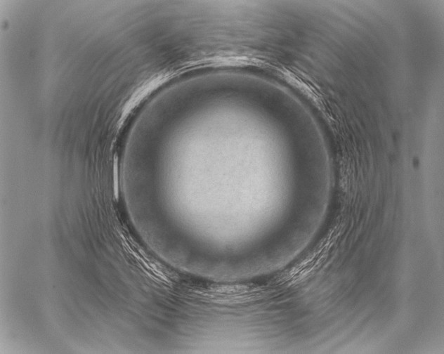 X0000059221171200510141005