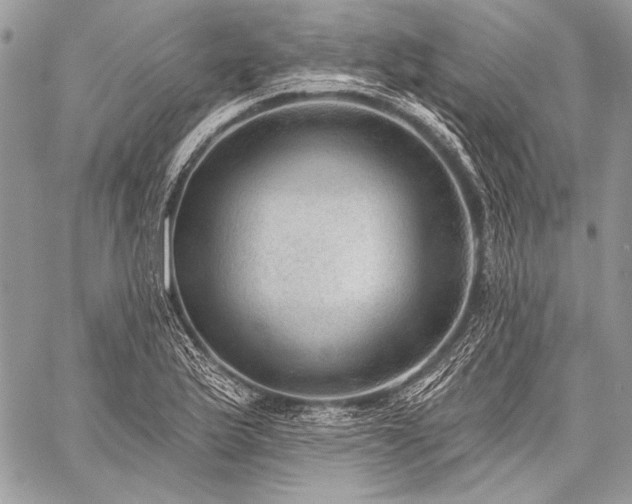 X0000059221175200510141005