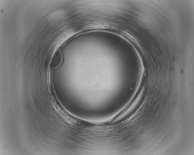 X0000059221179200510141005