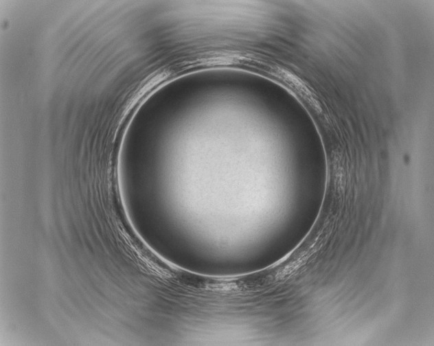 X0000059221186200510141004