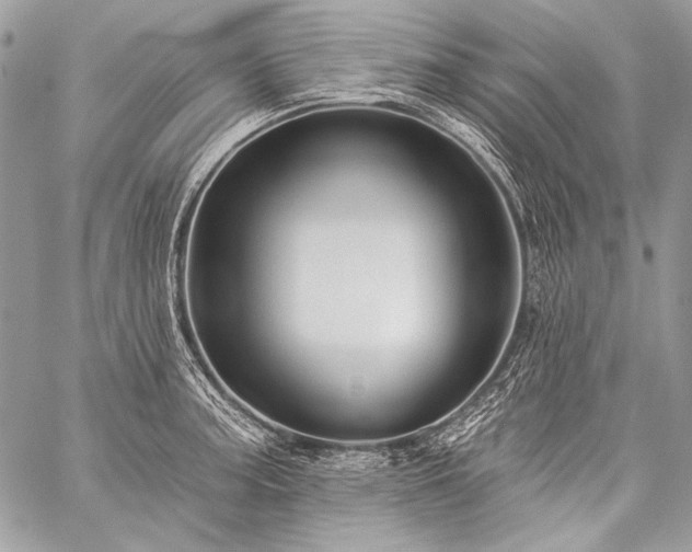 X0000059221187200510141004