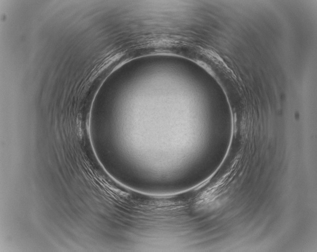 X0000059221209200510141004