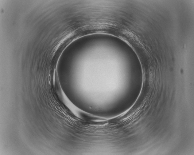 X0000059221210200510141004
