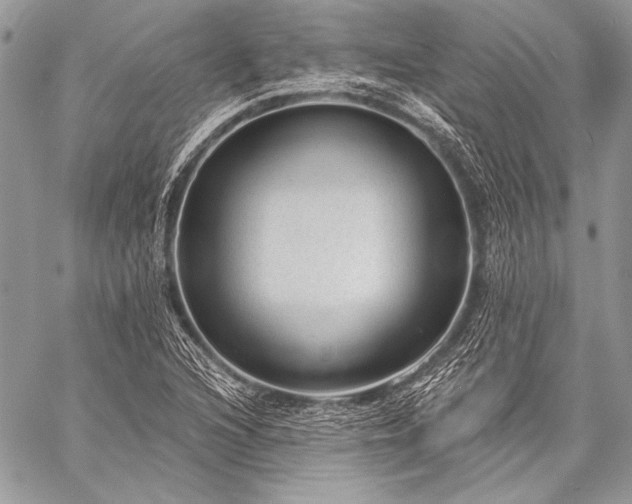 X0000059221216200510141004