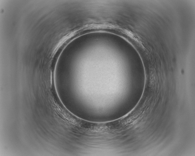 X0000059221221200510141004