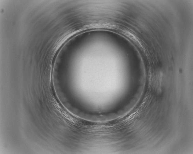 X0000059221228200510141004