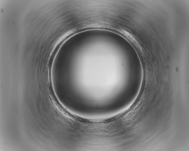 X0000059221238200510141004