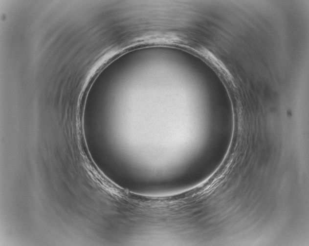 X0000059221240200510141004