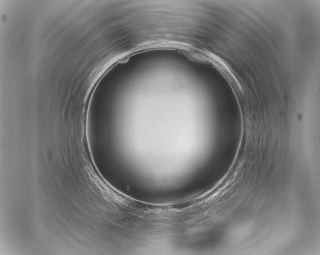 X0000059221244200510141004