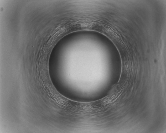 X0000059221249200510141003