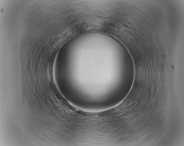 X0000059221250200510141003