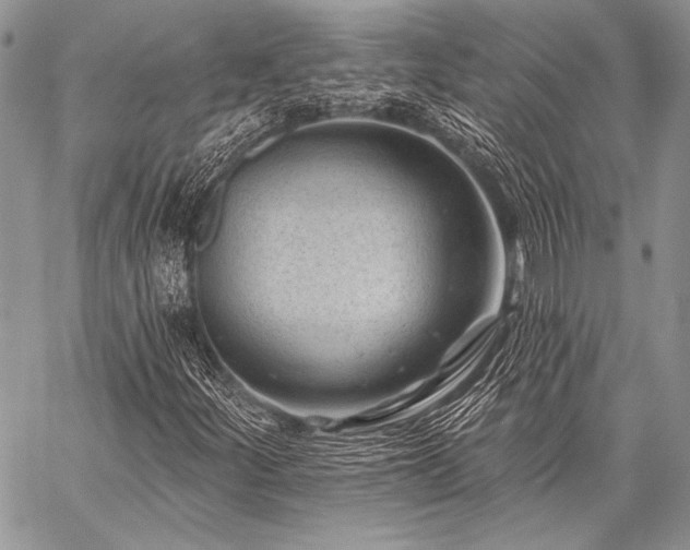X0000059221252200510141003