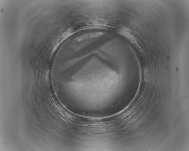 X0000059221260200510141003